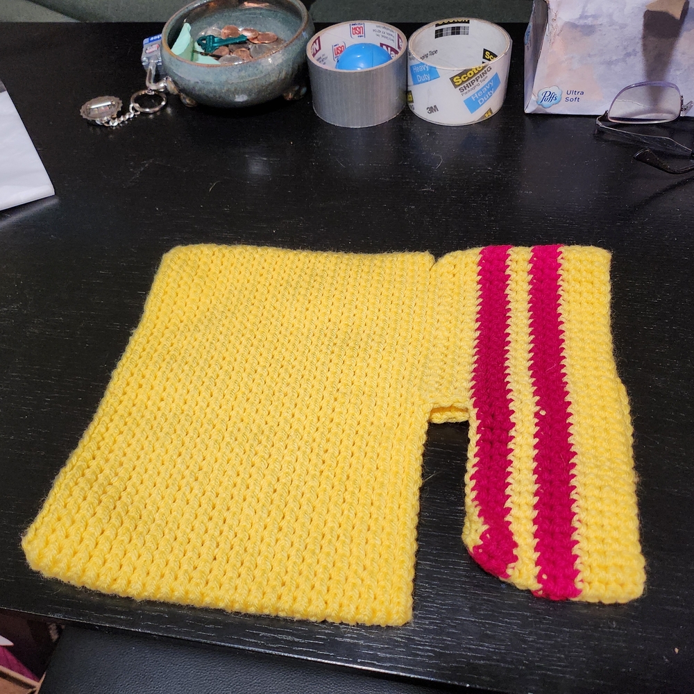 Yellow and Red Crocheted Dog Sweater